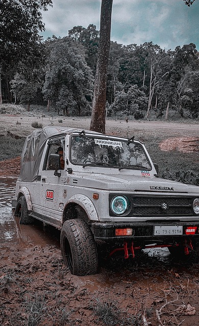 从新秀赛季 从新秀赛季