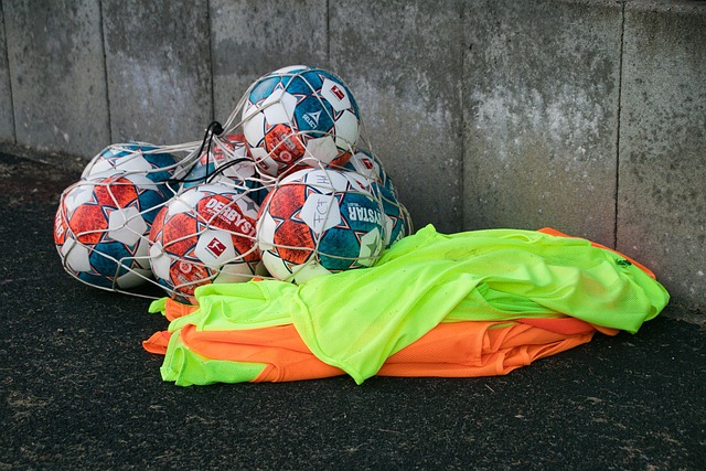 中更易受到 中更易受到