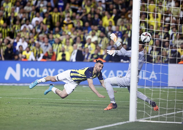 較低但表現 較低但表現